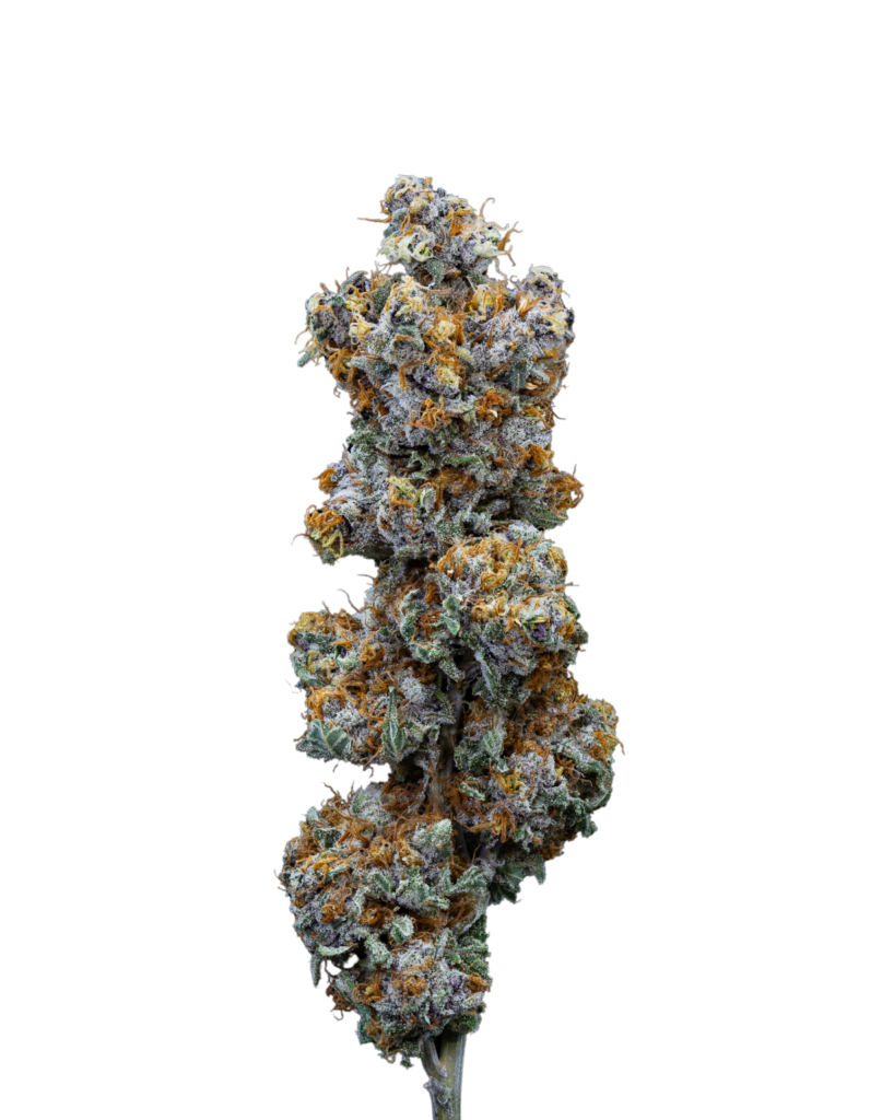 Jager Aruma Labs jager-aruma-labs